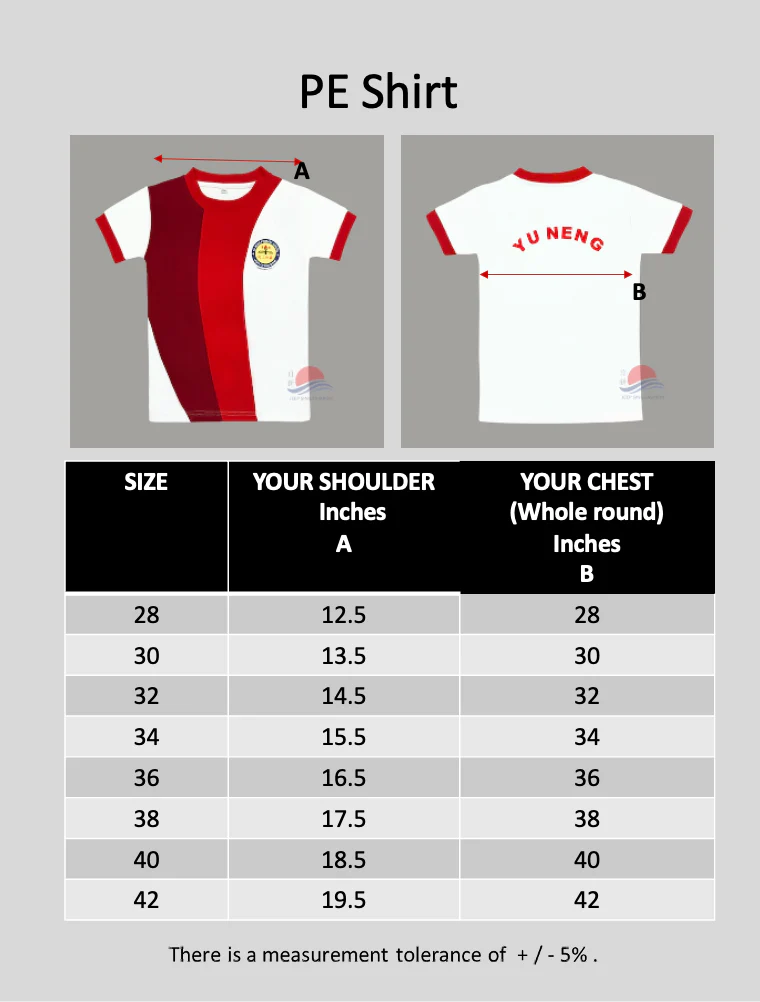 YNPS RED T-shirt - Image 3