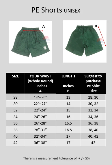DLS PE Shorts - Image 3