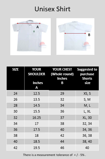 DLS Unisex Shirt - Image 3
