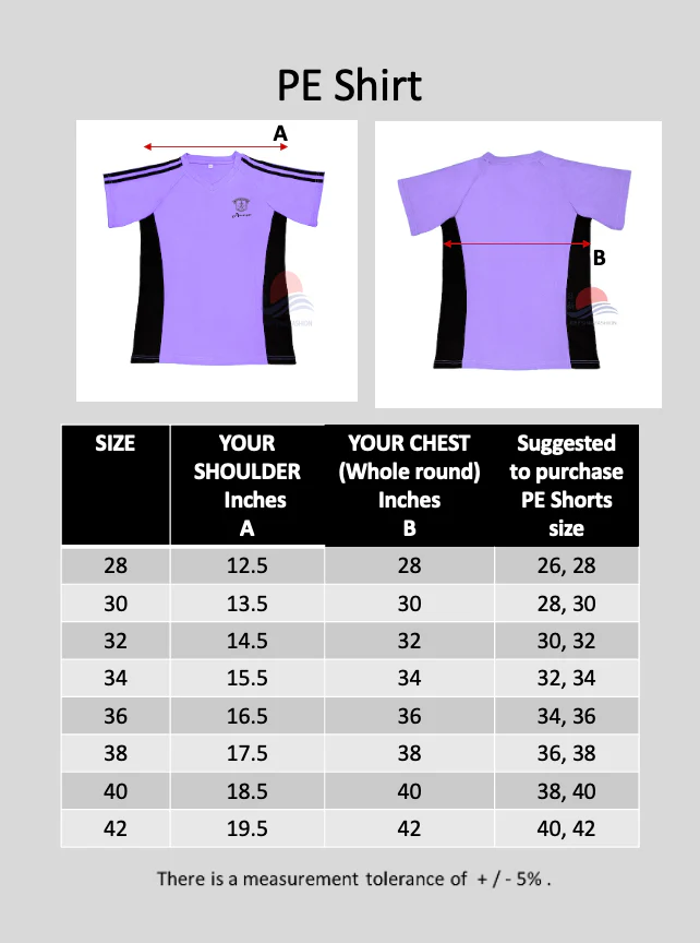 MCS Purple PE T-Shirt (Amethyst) - Image 3