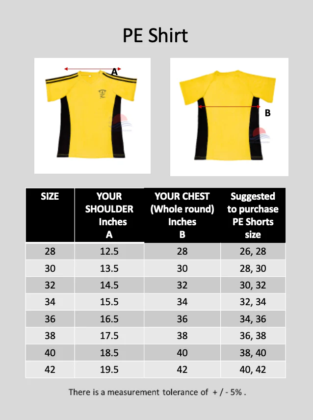 MCS Yellow PE T-Shirt (Topaz) - Image 3