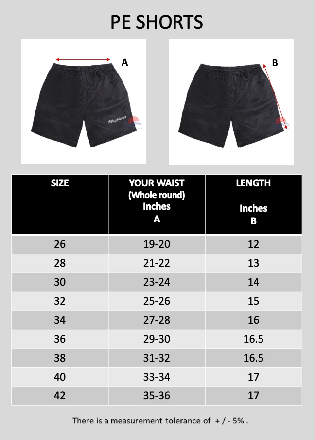 MFPS PE Shorts - Image 3