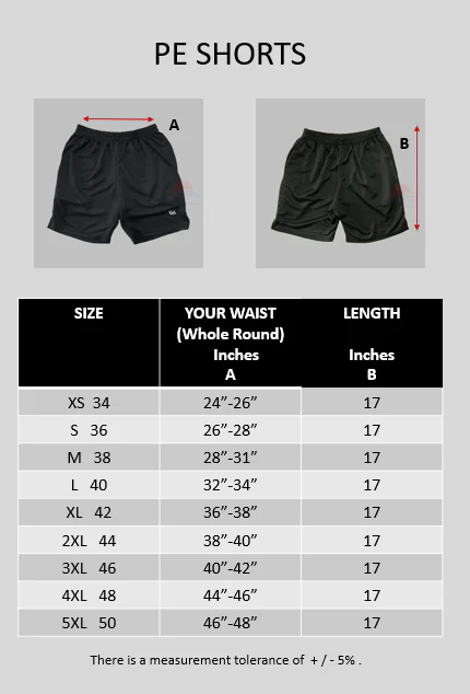 Raffles Institution Year 1-6 PE Shorts (Unisex) - Image 3