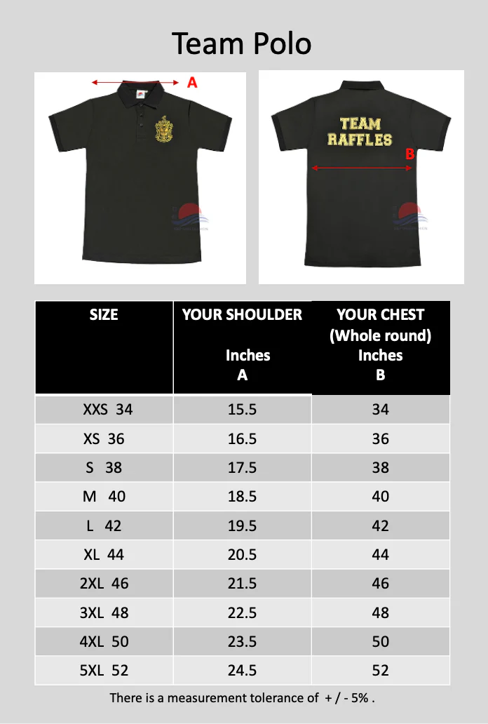 Raffles Institution Year 1-6 Team Raffles Polo T-shirt - Image 3