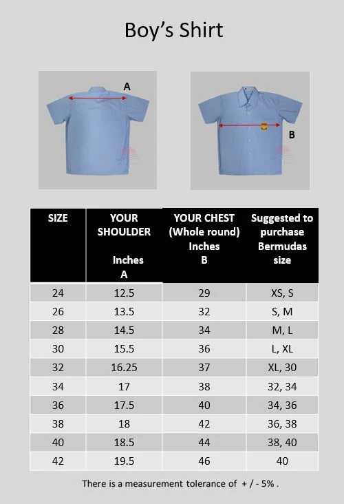 RVPS Boy's Shirt - Image 3