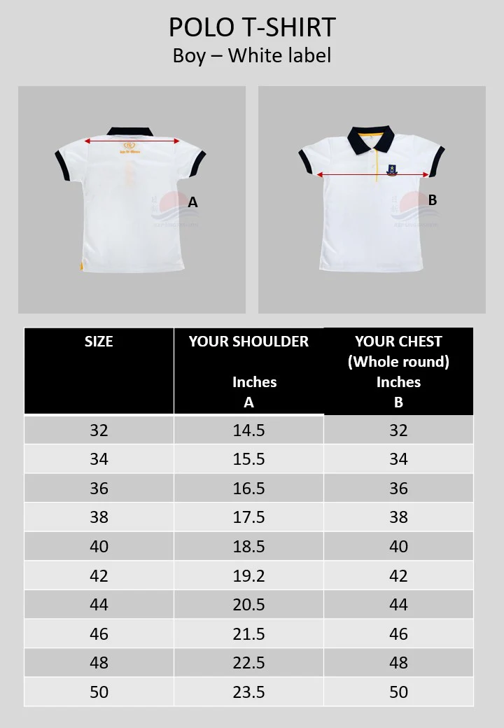 HGSS School Polo Tee (Boy - White Label) - Image 3