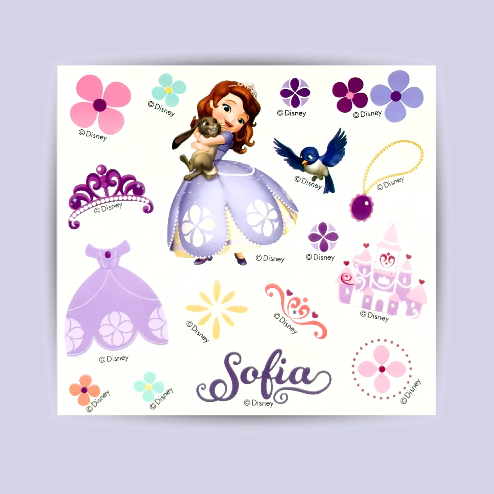 Princess Sofia / Marvel's Super Heroes Tritan Water Bottles w Strap 450ml - Image 4